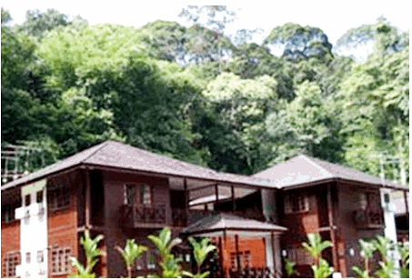 http://www.mps.gov.my/cMPS/PELANCONG/lagong.jpg