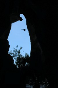 Batu Caves