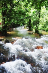 Hutan Lipur Sg. Tua  Portal Rasmi Majlis Perbandaran 