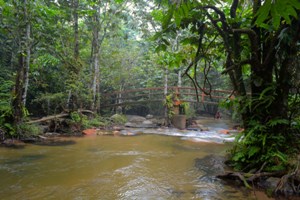 Hutan Lipur Sg. Tua