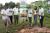  PROGRAM TANAM POKOK - RAWANG - SG TUA