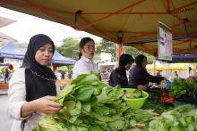 JUALAN AGRO MADANI ANJURAN ANULAE