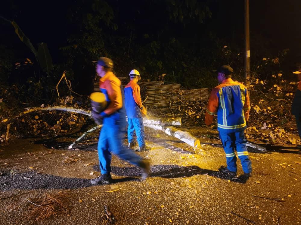 OPERASI ADUAN POKOK TUMBANG