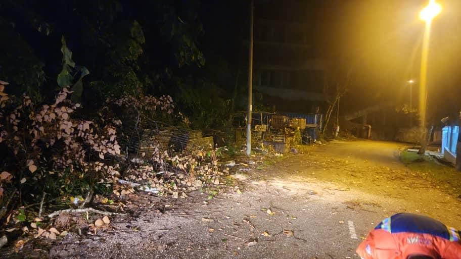 OPERASI ADUAN POKOK TUMBANG