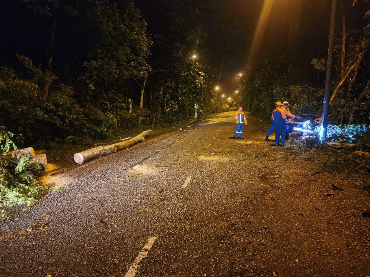 OPERASI ADUAN POKOK TUMBANG
