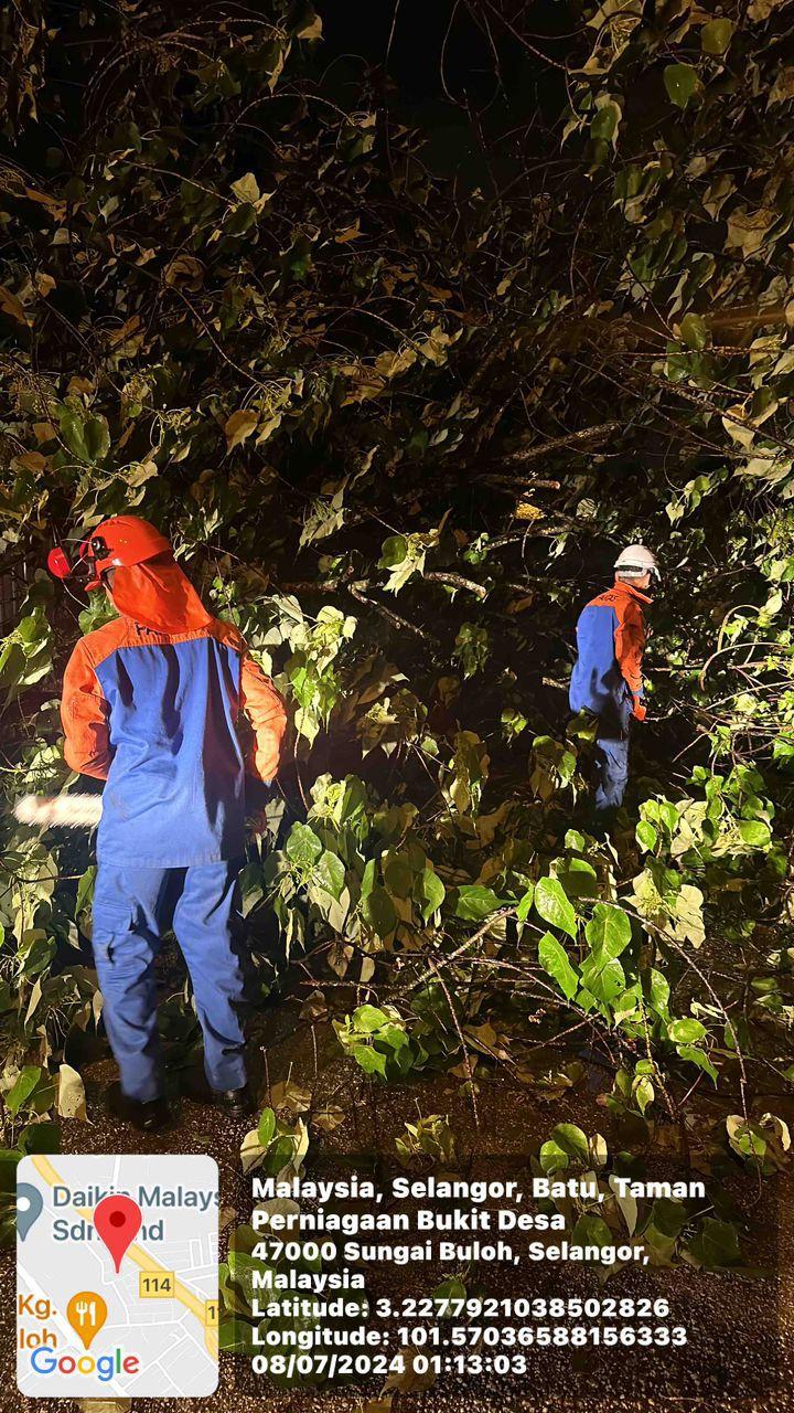 OPERASI POKOK TUMBANG