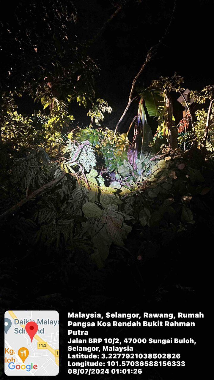 OPERASI POKOK TUMBANG