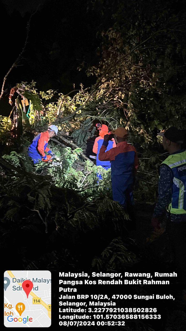 OPERASI POKOK TUMBANG