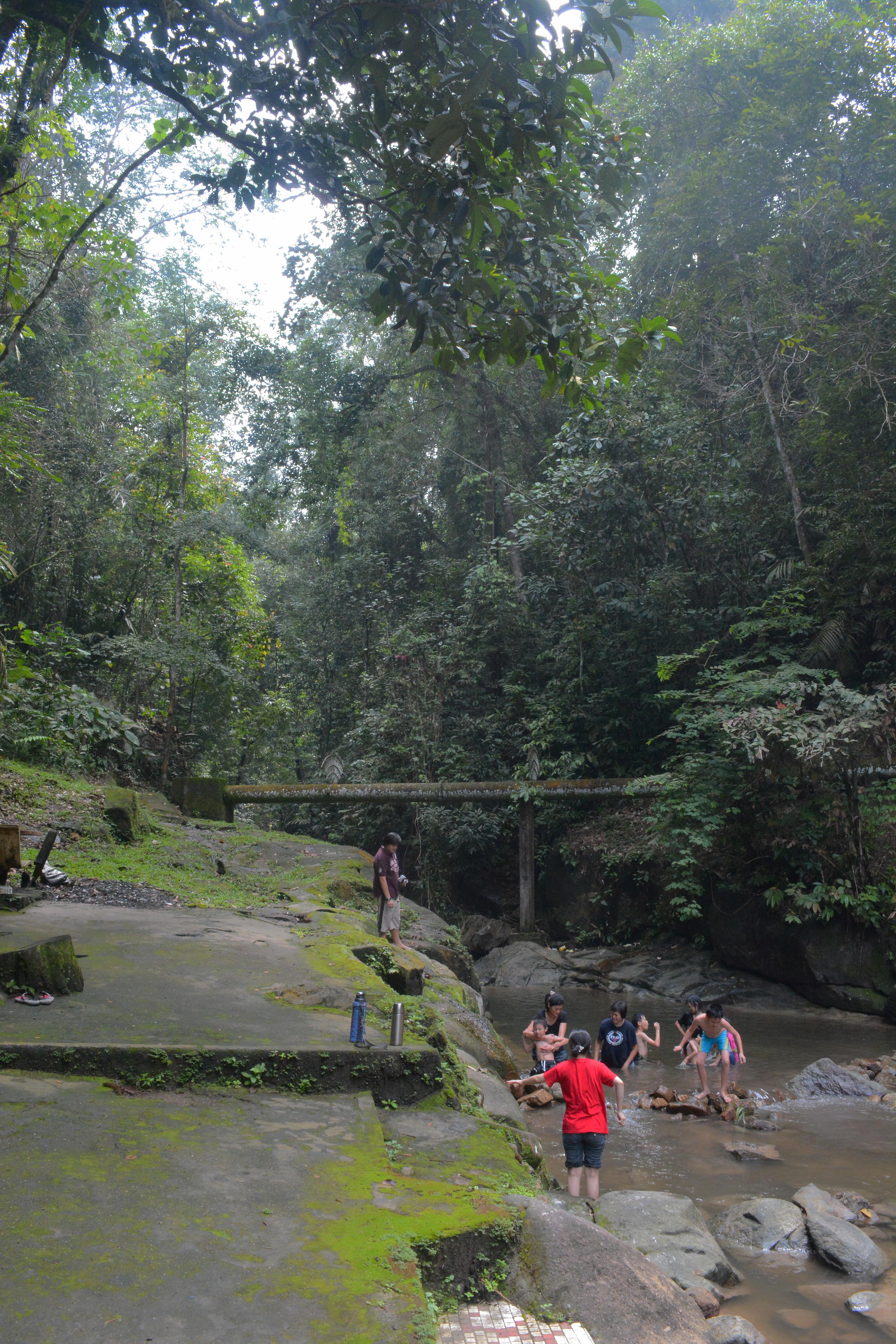 Taman Rimba Bukit Lagong Mps Home Facebook