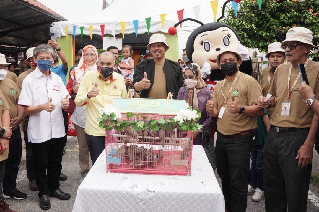 Karnival Garden 8