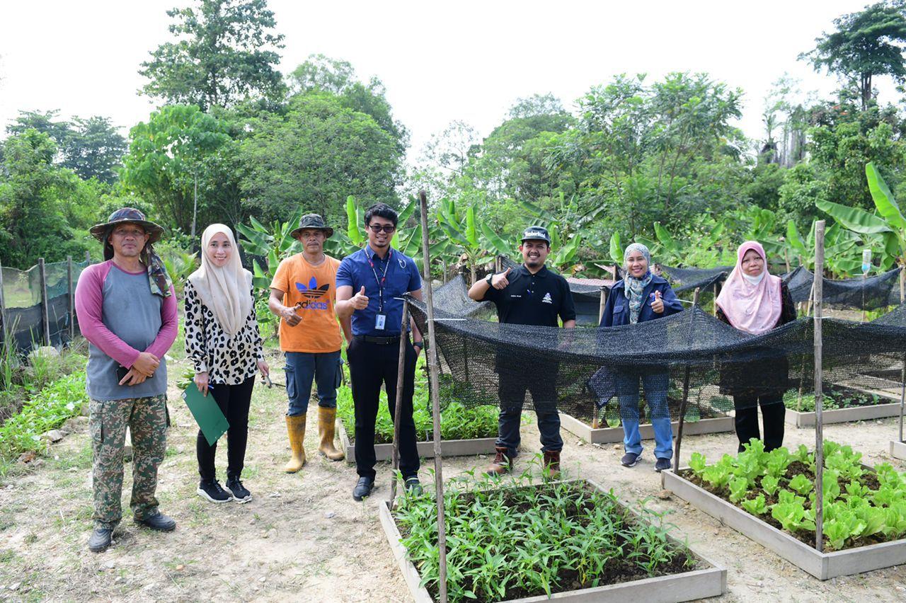 Pertandingan Edible Garden
