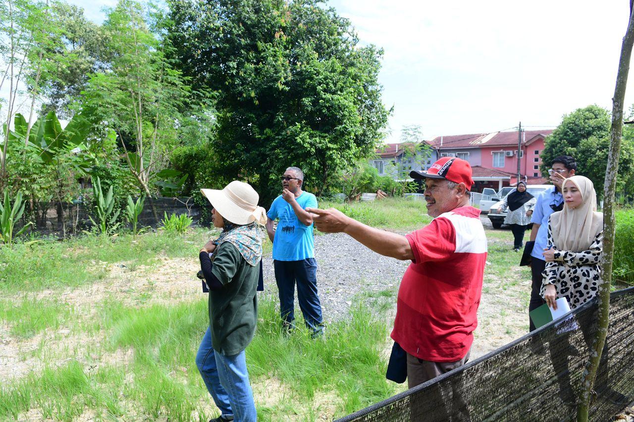 Pertandingan Edible Garden