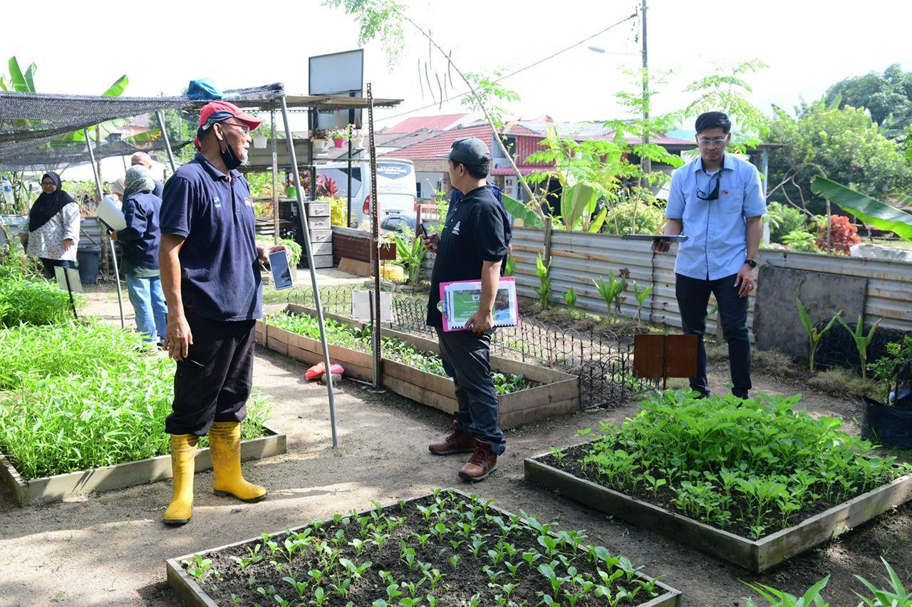 Pertandingan Edible Garden