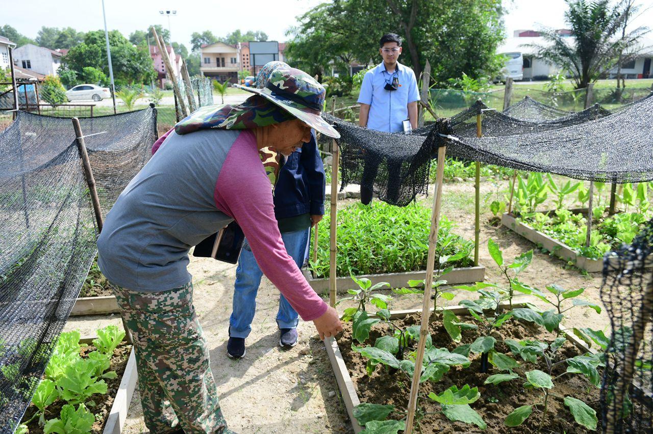 Pertandingan Edible Garden