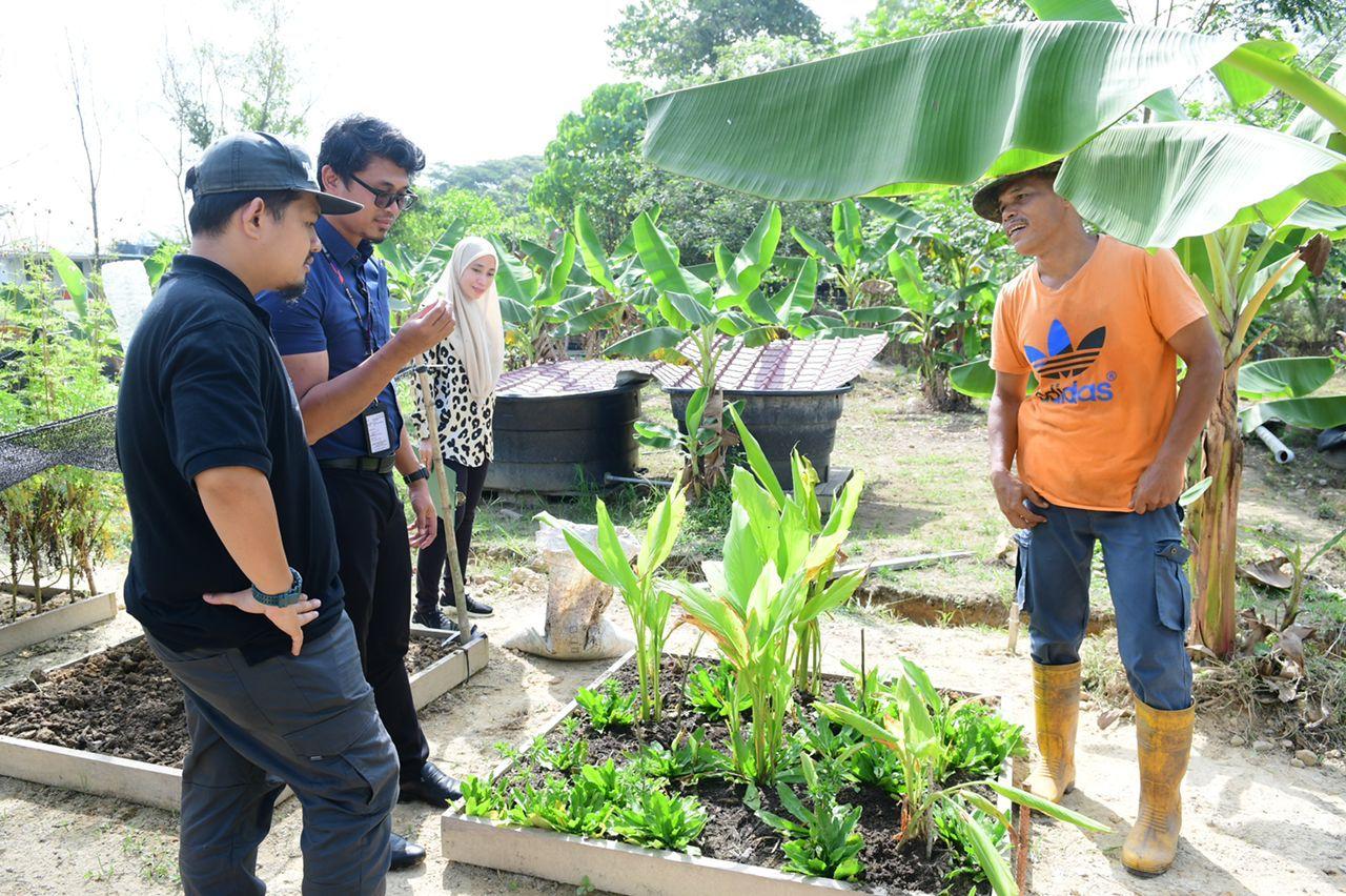 Pertandingan Edible Garden