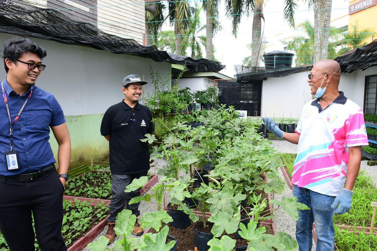 Pertandingan Edible Garden