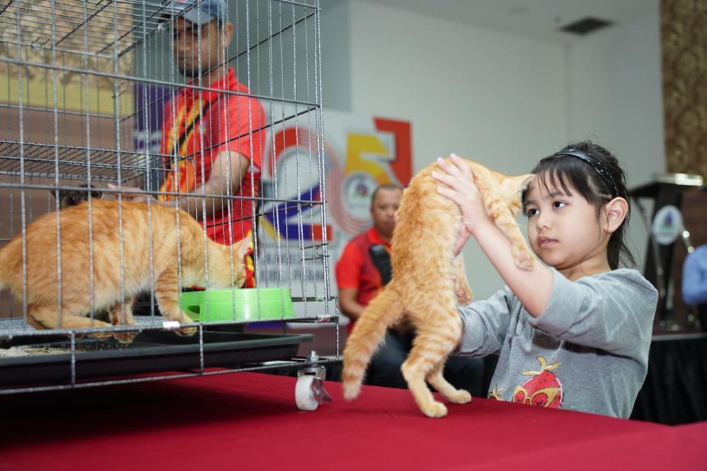 Program Kucing Angkat — Sayangi Kucing Jalanan