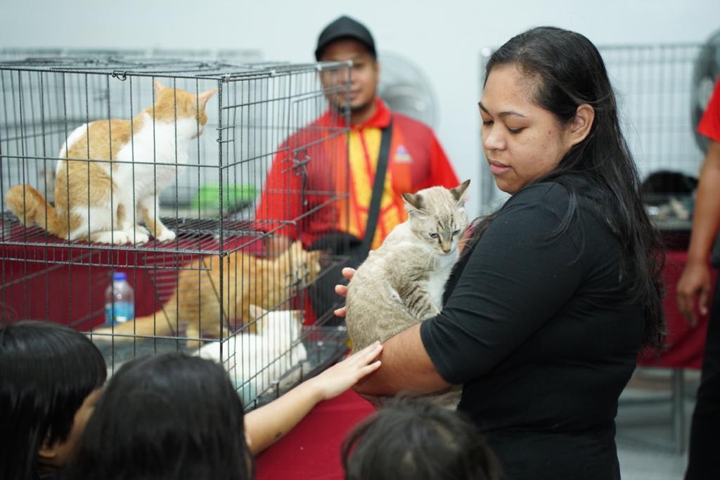 Program Kucing Angkat — Sayangi Kucing Jalanan