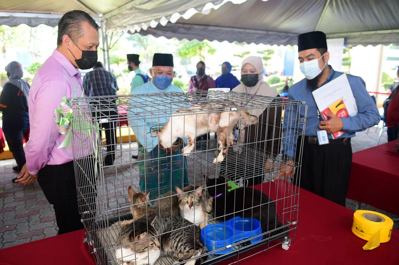 Program We Love Cat