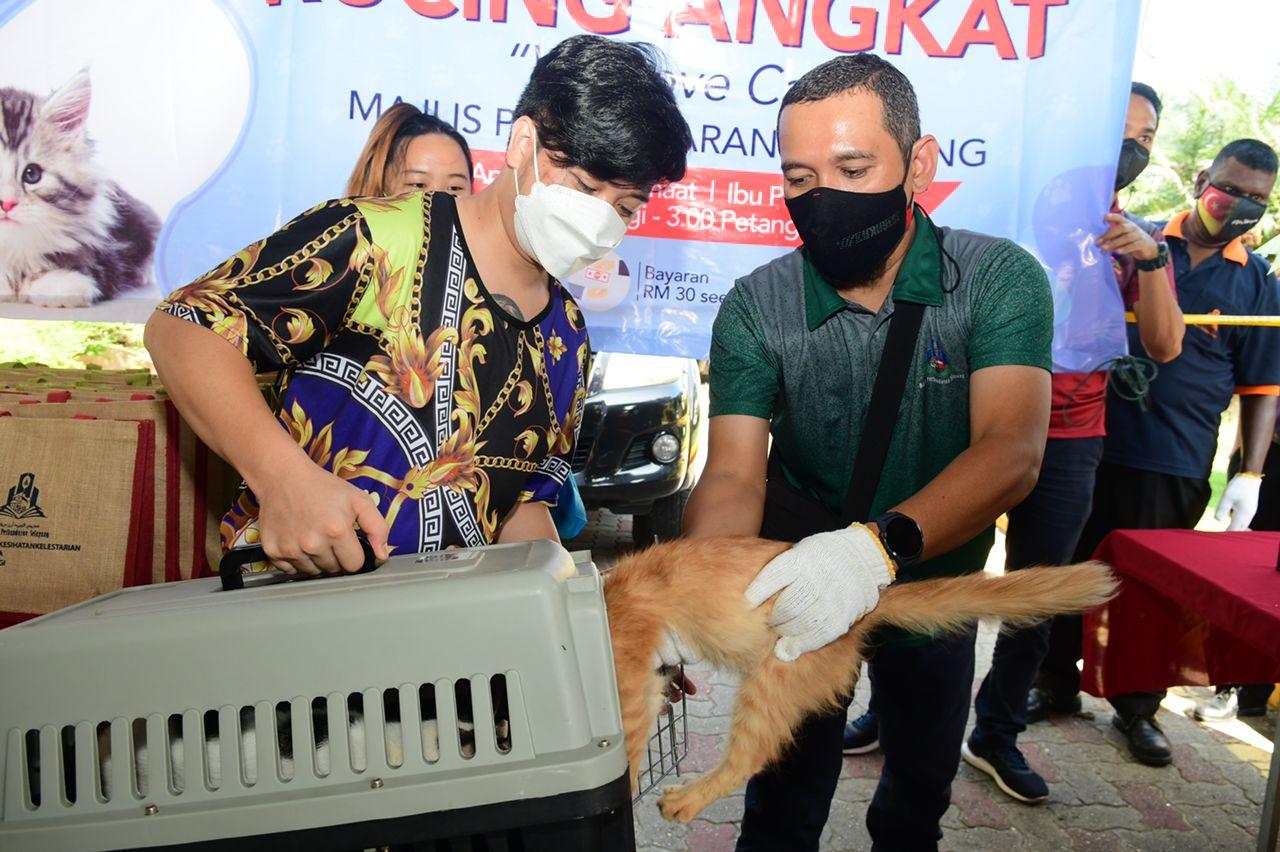 Program We Love Cat