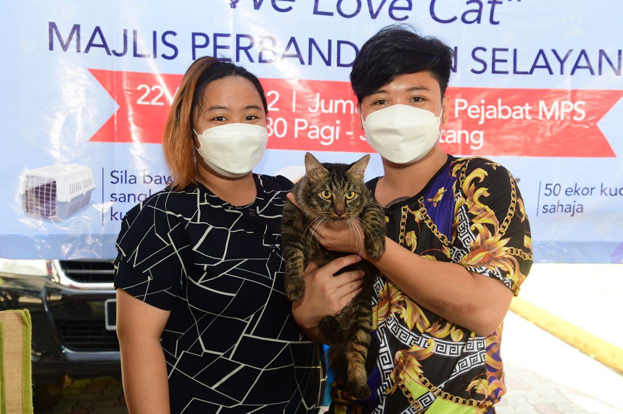Program We Love Cat