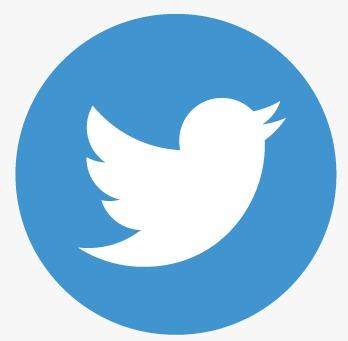 Twitter Icon