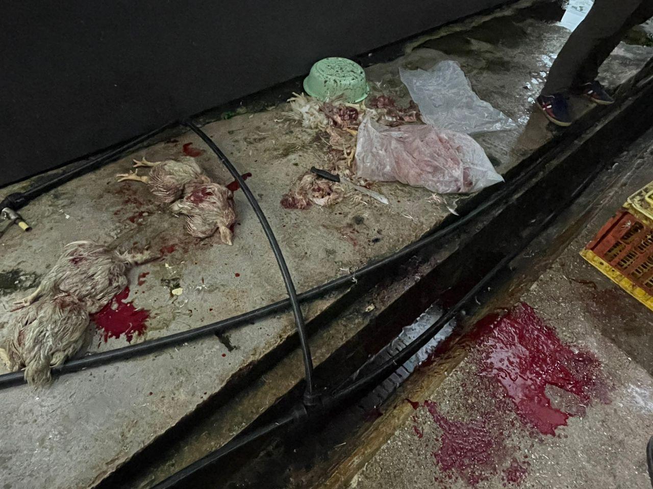 Kilang Memproses Ayam Tanpa Lesen Diserbu